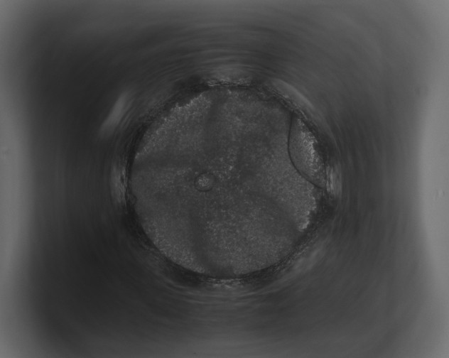 X0000100350915200806271358