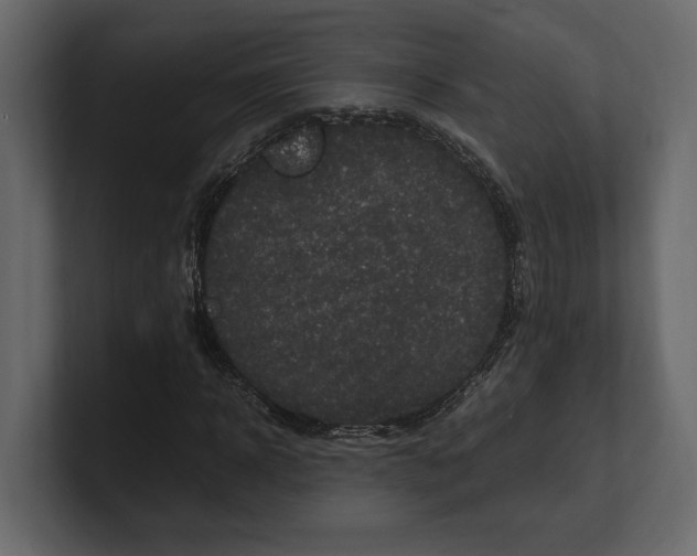 X0000100350918200806271358