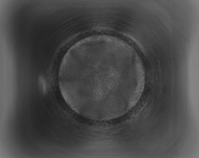 X0000100350919200806271358