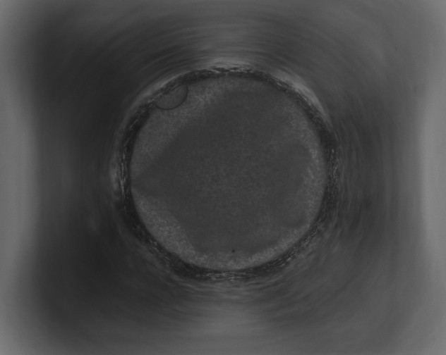 X0000100350920200806271358