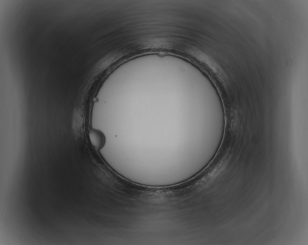 X0000100350922200806271358