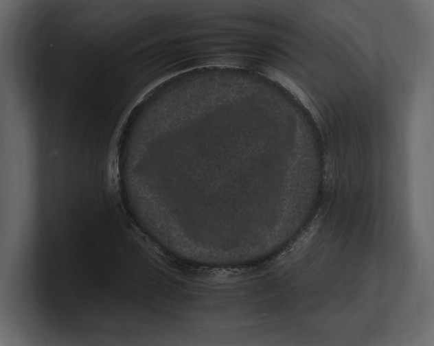 X0000100350923200806271358