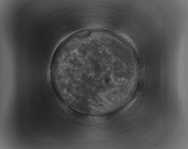 X0000100350928200806271359