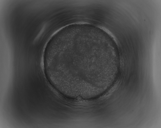 X0000100350935200806271359