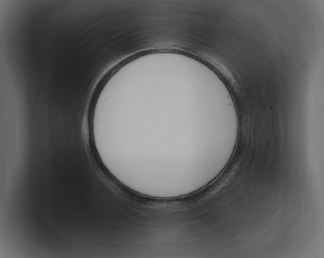 X0000100350936200806271359