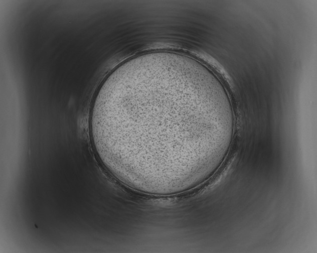 X0000100350937200806271359