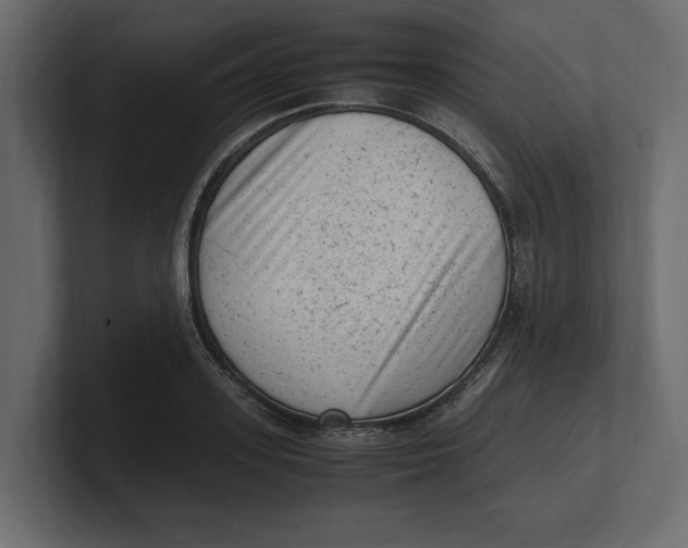 X0000100350939200806271359