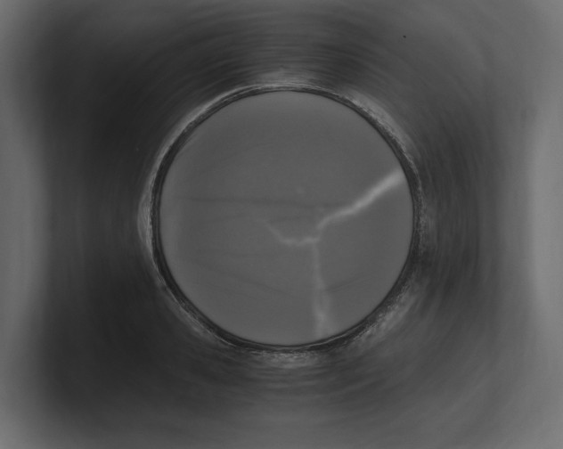 X0000100350941200806271359