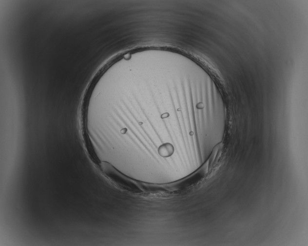 X0000100350942200806271359