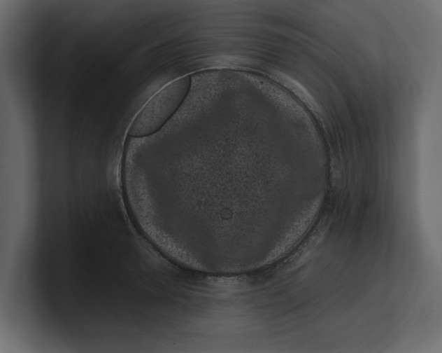 X0000100350946200806271359