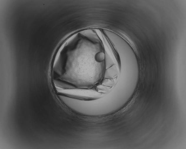 X0000100350948200806271359