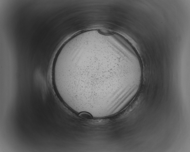 X0000100350949200806271359