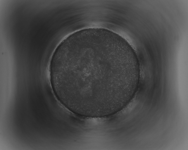 X0000100350950200806271359