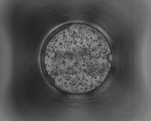 X0000100350951200806271359