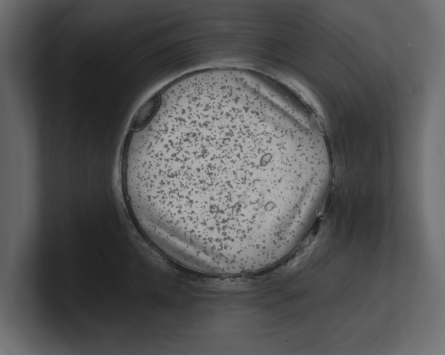 X0000100350952200806271359