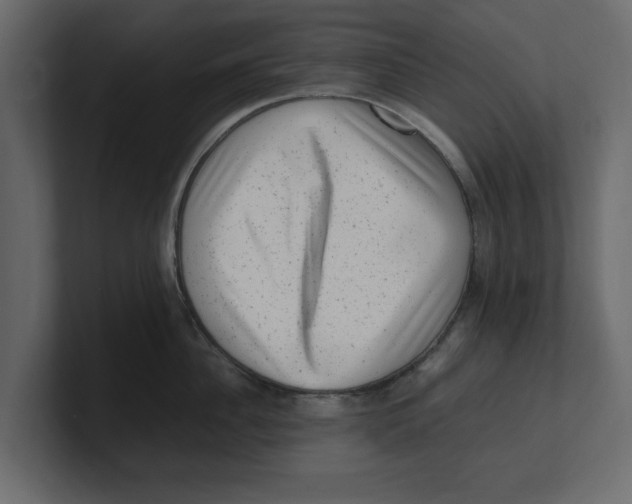 X0000100350956200806271359