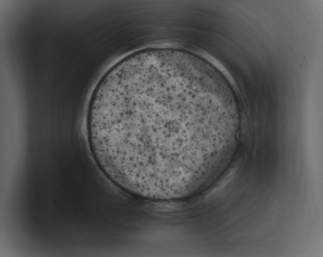 X0000100350959200806271359