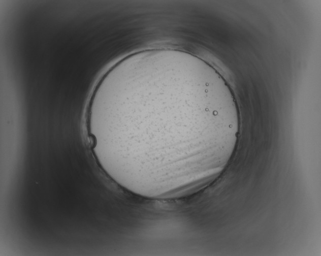 X0000100350960200806271359