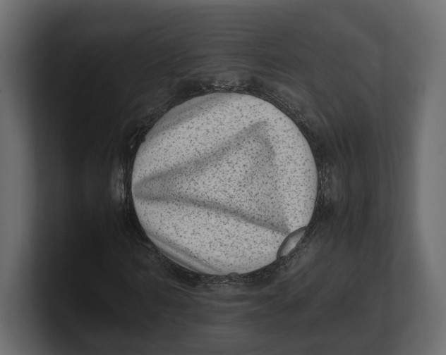 X0000100350962200806271358