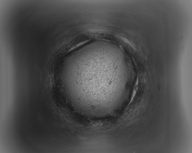 X0000100350965200806271358