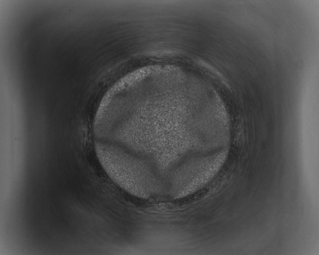 X0000100350966200806271358