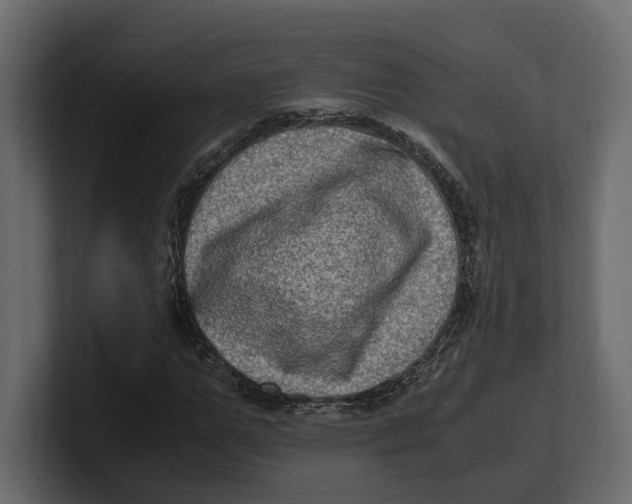 X0000100350967200806271358