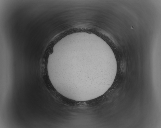 X0000100350968200806271358