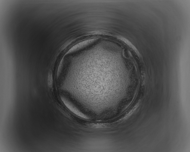 X0000100350969200806271358