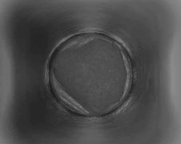 X0000100350973200806271358