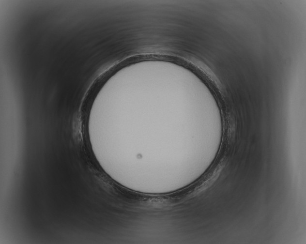 X0000100350974200806271358