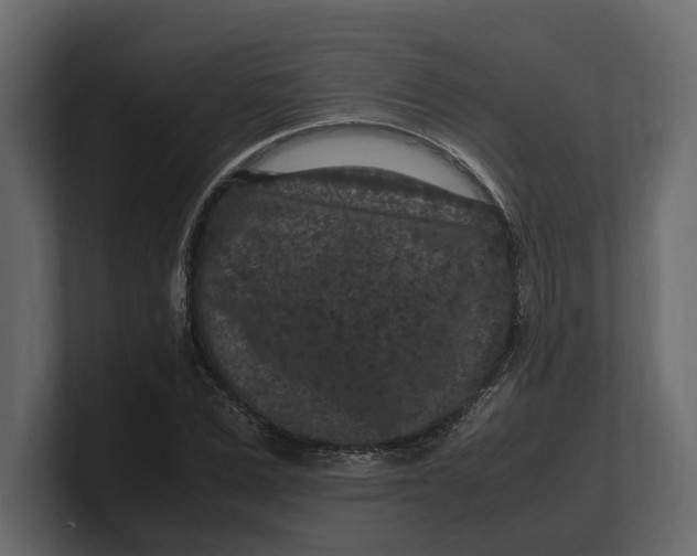 X0000100350975200806271358