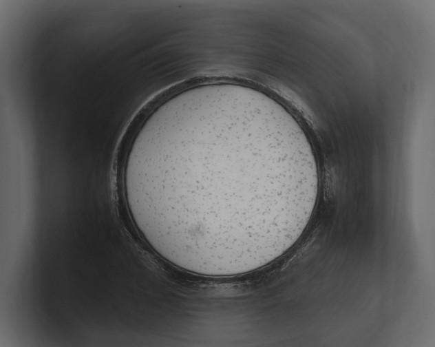 X0000100350976200806271358