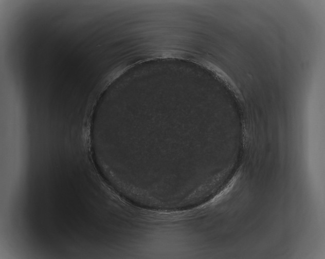 X0000100350977200806271358