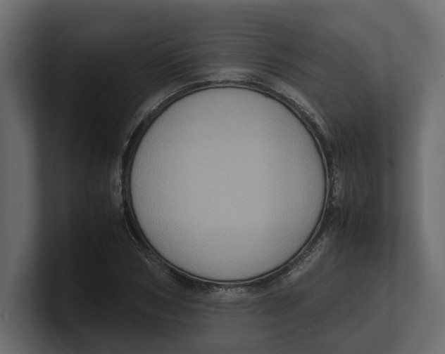 X0000100350978200806271358