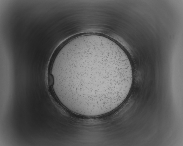 X0000100350980200806271358