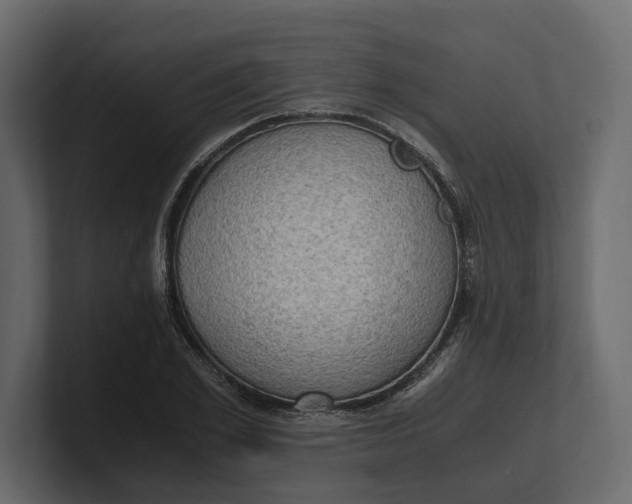 X0000100350981200806271358