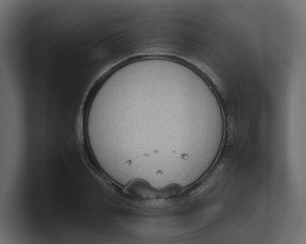 X0000100350982200806271358