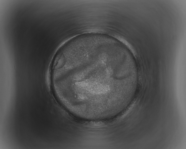 X0000100350983200806271358