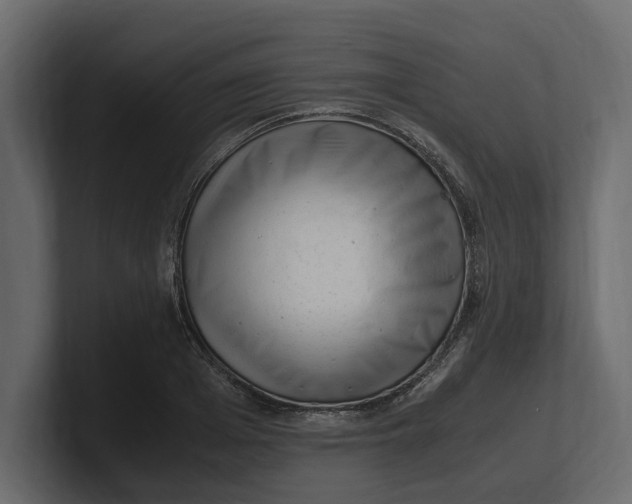 X0000100350985200806271358