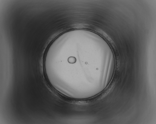 X0000100350986200806271358