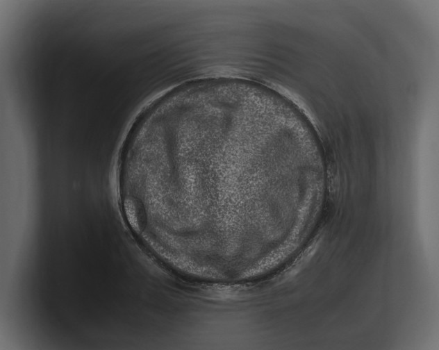 X0000100350987200806271358