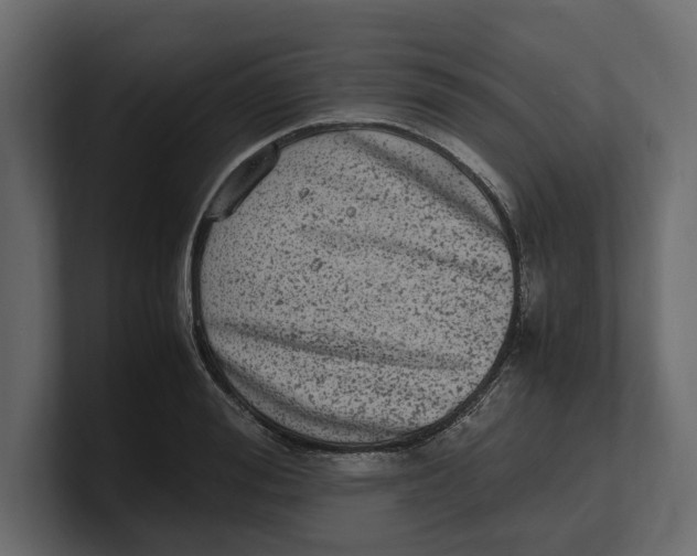 X0000100350988200806271358