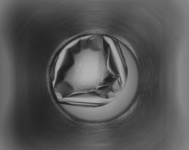 X0000100350989200806271358