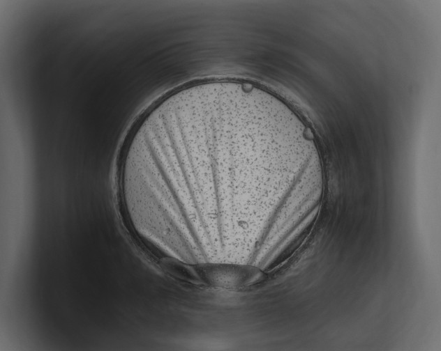 X0000100350990200806271358