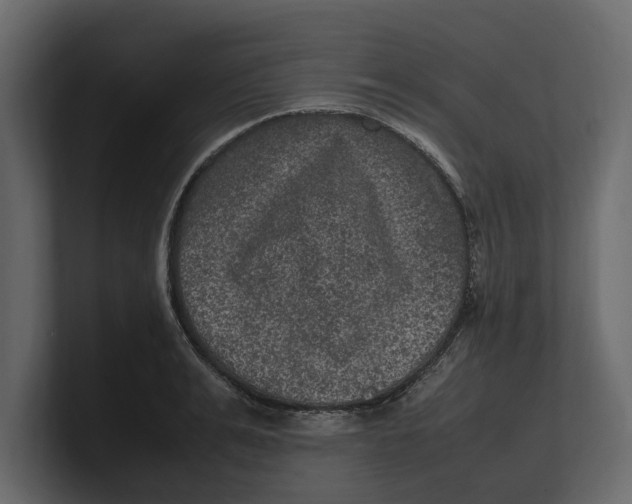 X0000100350991200806271358