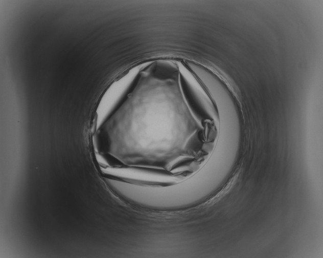 X0000100350993200806271358