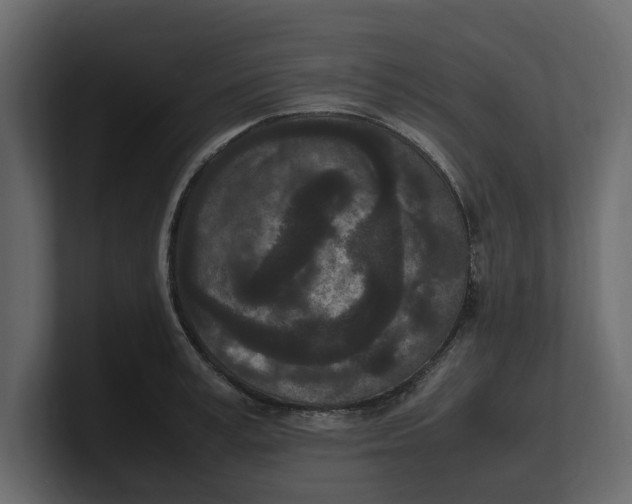 X0000100350995200806271358