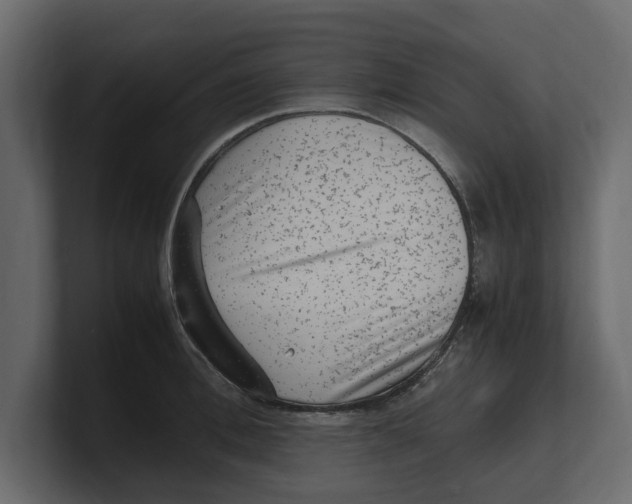 X0000100350996200806271358