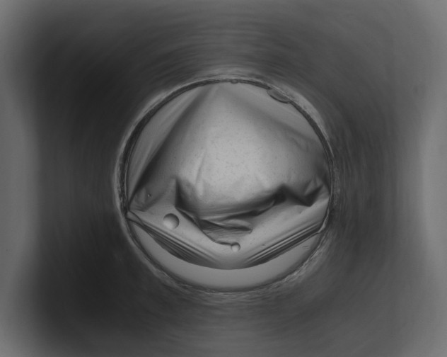 X0000100350997200806271358