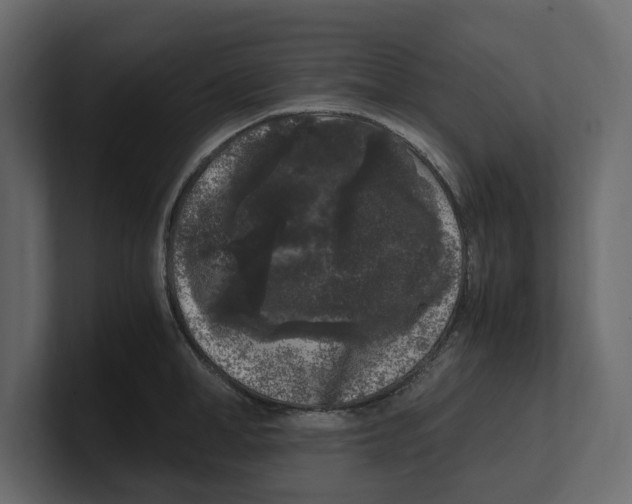 X0000100350998200806271358